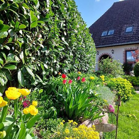 Klosterblick Bad Doberan Buitenkant foto