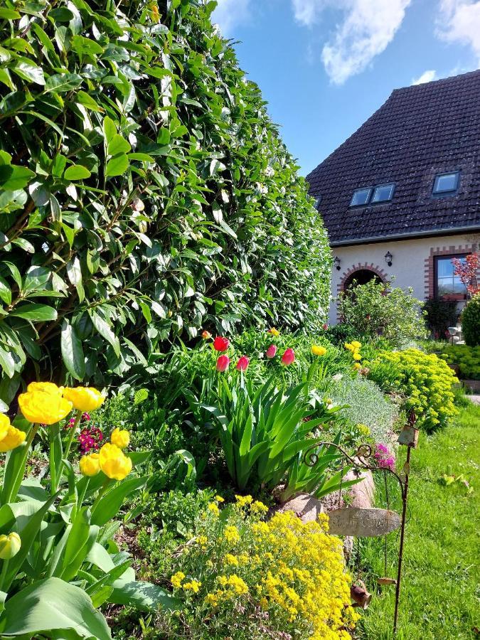Klosterblick Bad Doberan Buitenkant foto