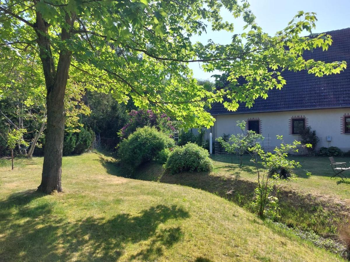 Klosterblick Bad Doberan Buitenkant foto