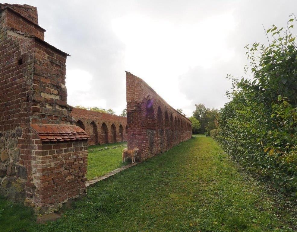 Klosterblick Bad Doberan Buitenkant foto