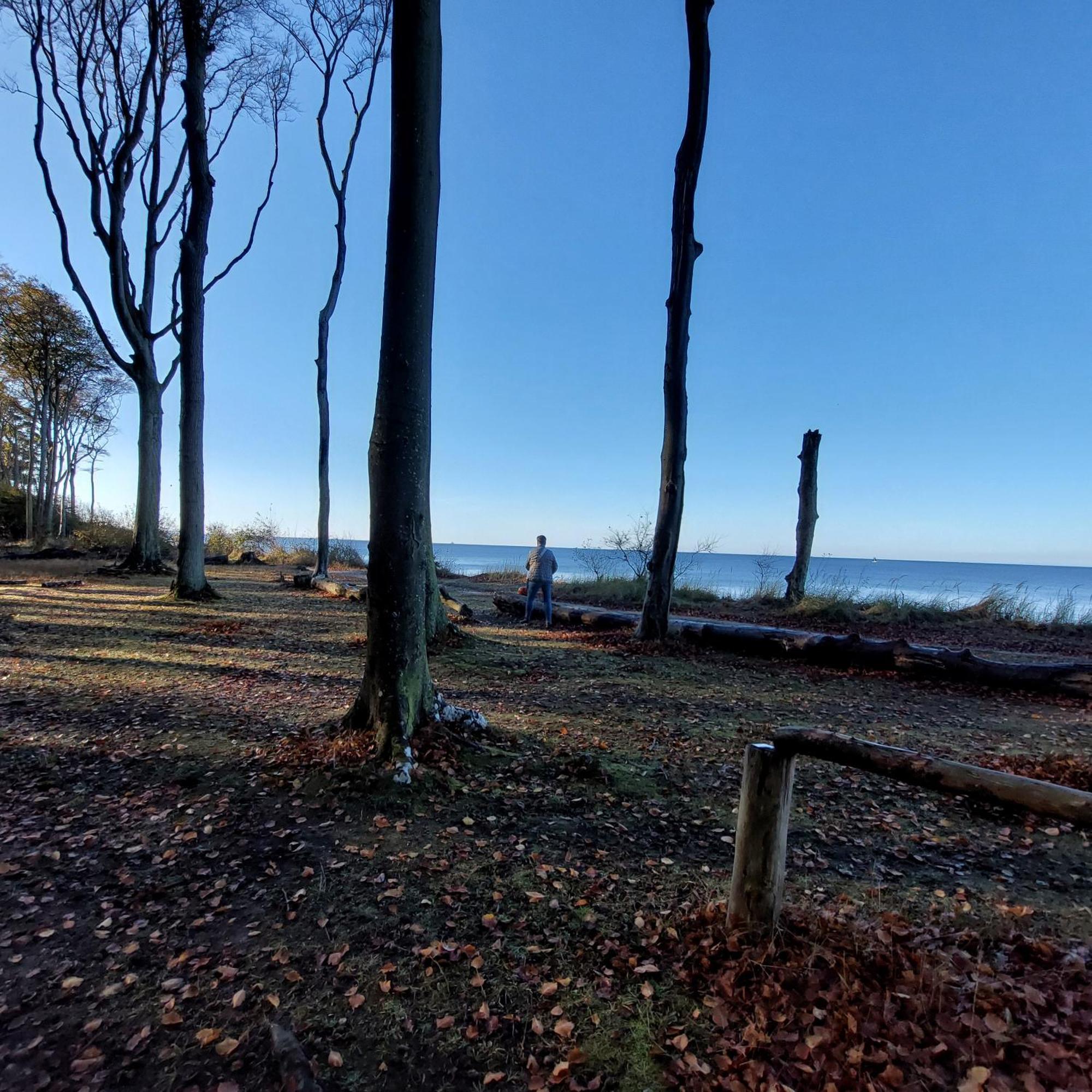 Klosterblick Bad Doberan Buitenkant foto